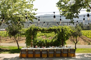 Outdoor wedding area