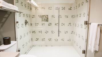 Una ducha a nivel con puerta de cristal, paredes de azulejos y un inodoro blanco.