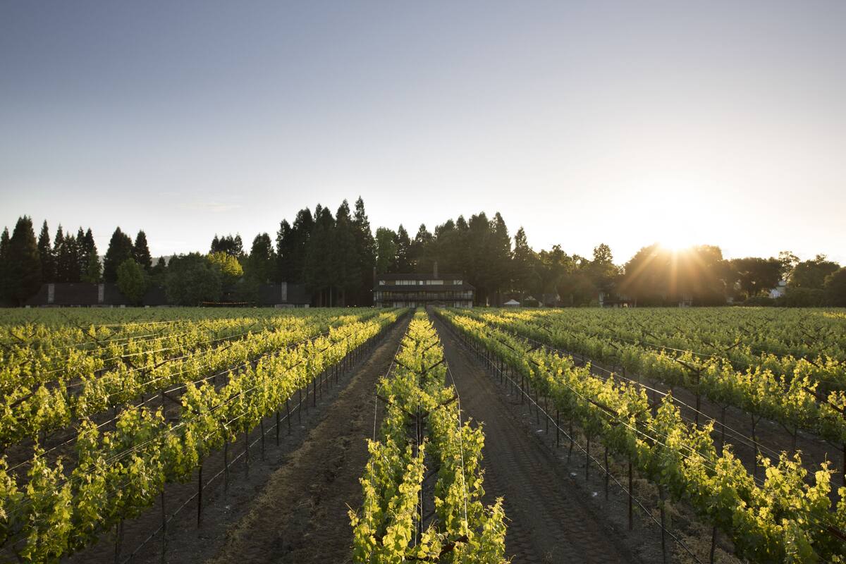 Premium bedding, down comforters, blackout drapes, soundproofing