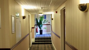 A hotel hallway with a carpeted staircase, a potted plant, and a fire extinguisher.
