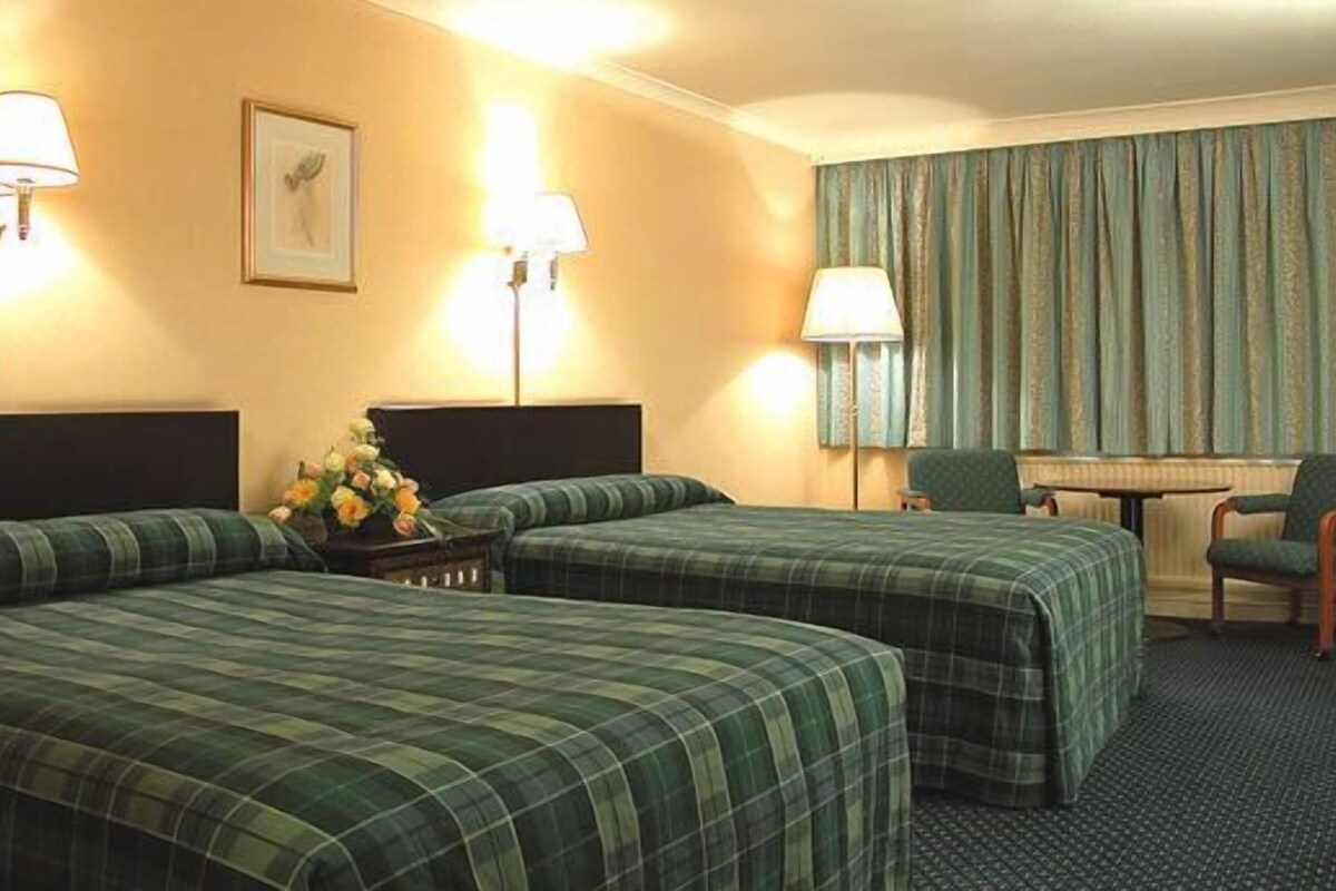 Desk, iron/ironing board (on request), WiFi (free), alarm clocks