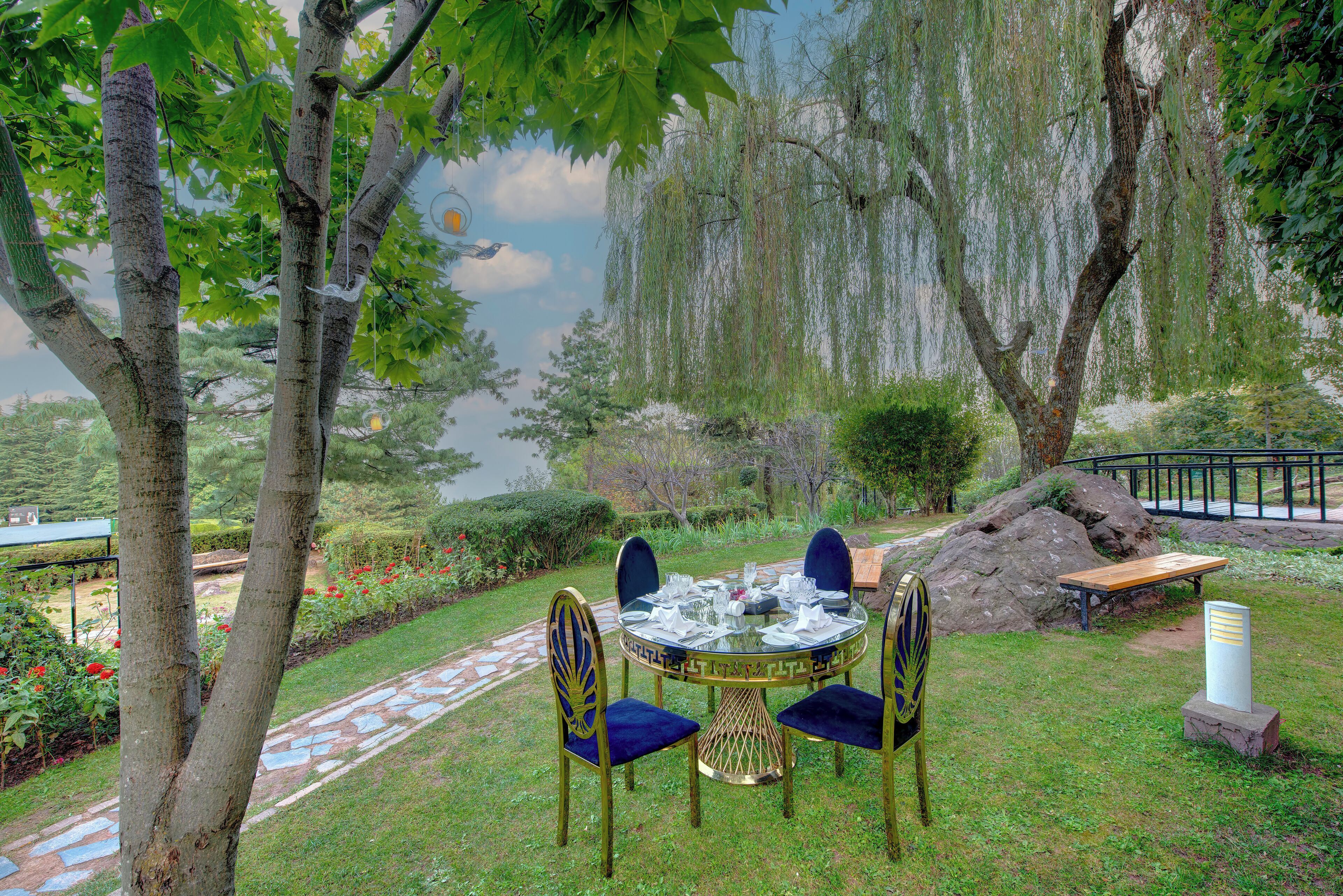 A round table with chairs set for dining, surrounded by trees and a stone pathway.