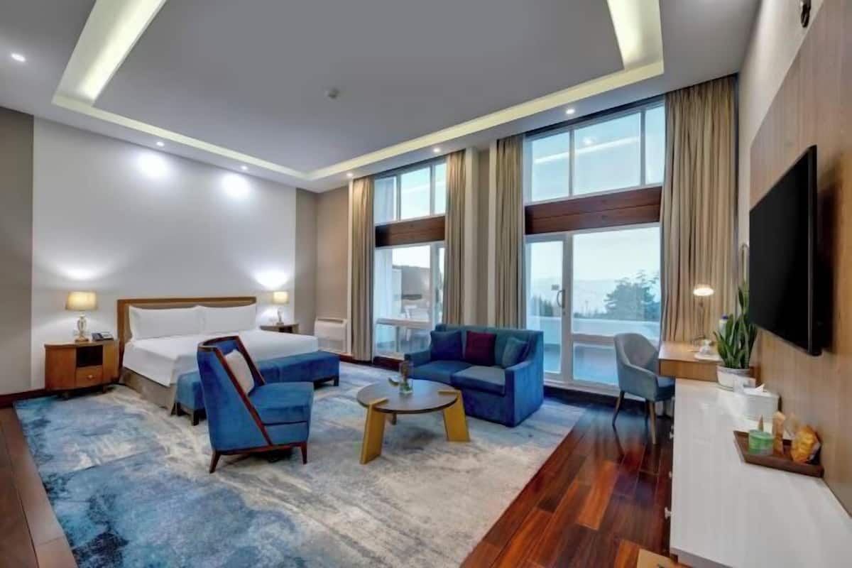 1 chambre, minibar, coffres-forts dans les chambres, bureau