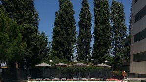 Outdoor pool - Hotel La Moraleja (Alcobendas)