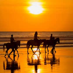 Paseos a caballo
