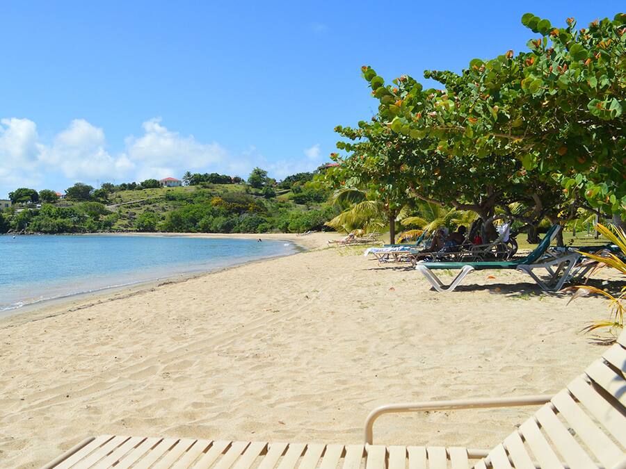 Una spiaggia con acqua cristallina, un lido sabbioso e alcuni lettini sotto un albero.