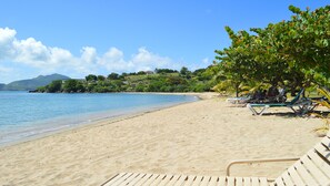 A beach with clear blue water, sandy shore, and a few lounge chairs under a tree. - Oualie Beach Resort (Newcastle)
