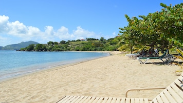 Una playa con agua azul cristalina, orilla de arena y algunas sillas de playa bajo un árbol.