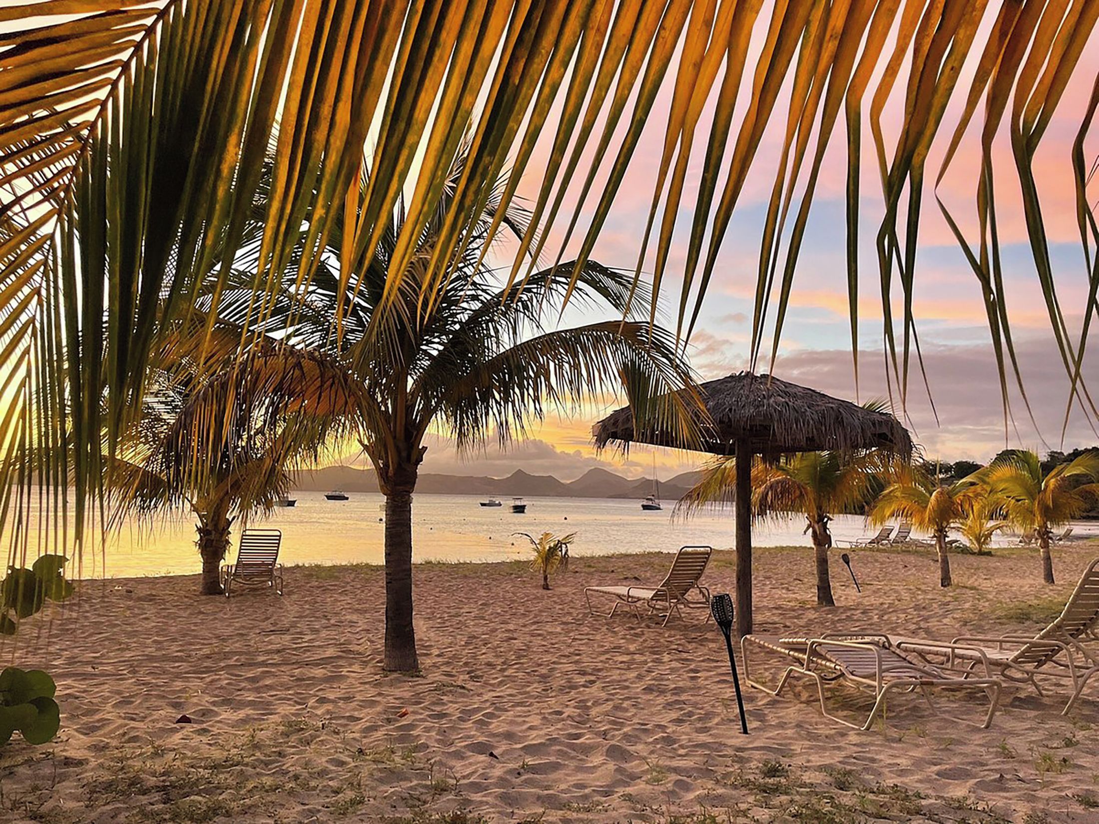Una playa con palmeras, una sombrilla de paja y sillones de playa.
