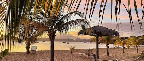 Una playa con palmeras, una sombrilla de paja y sillones de playa.