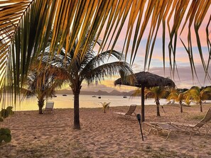 Una playa con palmeras, una sombrilla de paja y sillones de playa.