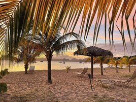 Una playa con palmeras, una sombrilla de paja y sillones de playa.