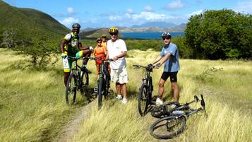 Four people with bicycles in a grassy field with mountains and a body of water in the background.