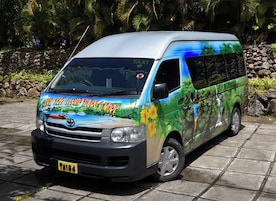 Un vehículo con un llamativo diseño tropical en su lateral, estacionado sobre un área empedrada.