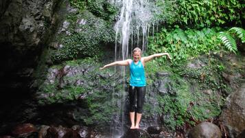A person standing on a rock with arms outstretched in front of a waterfall.