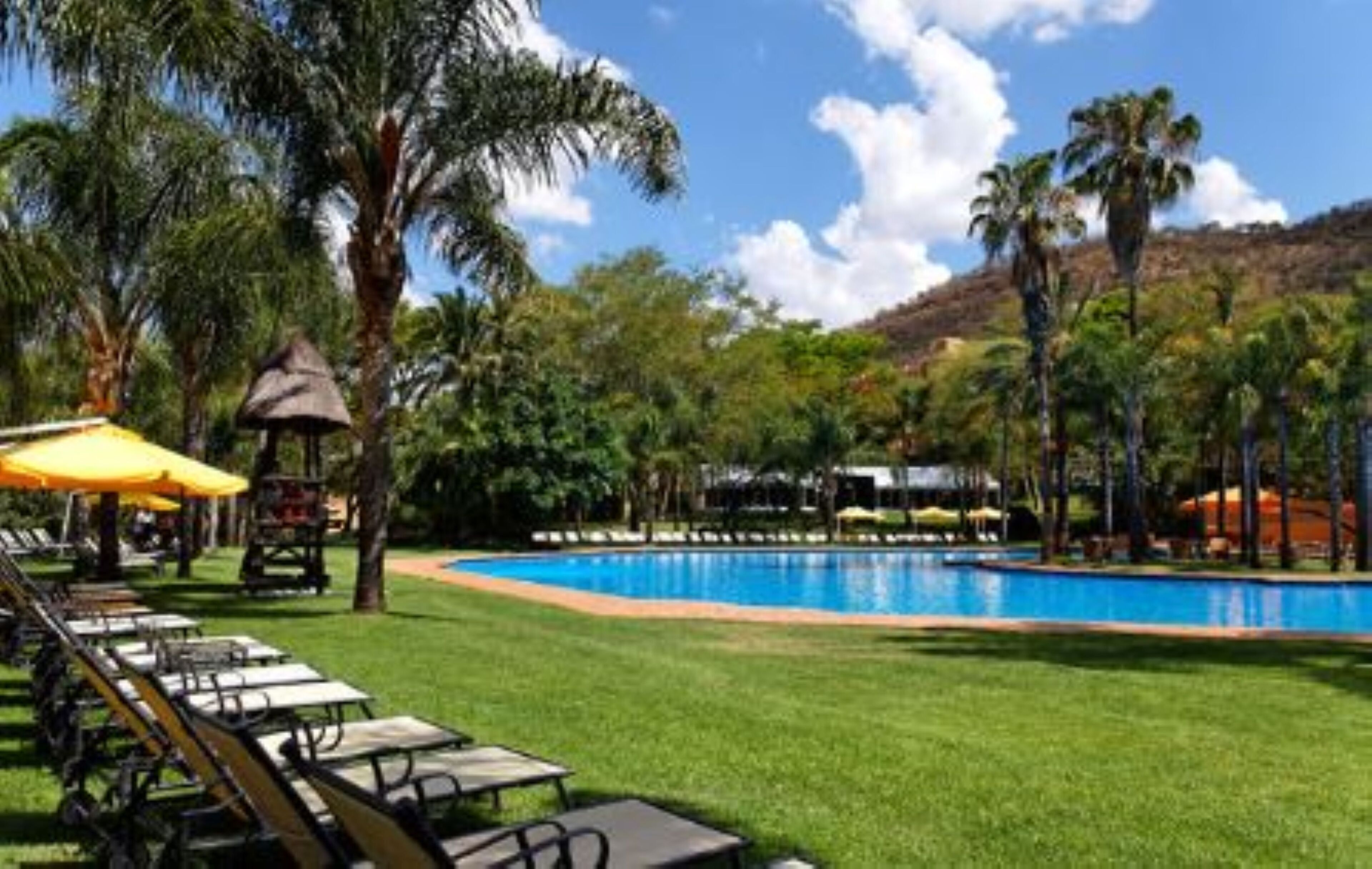 Alberca al aire libre, sombrillas en la alberca y camastros 