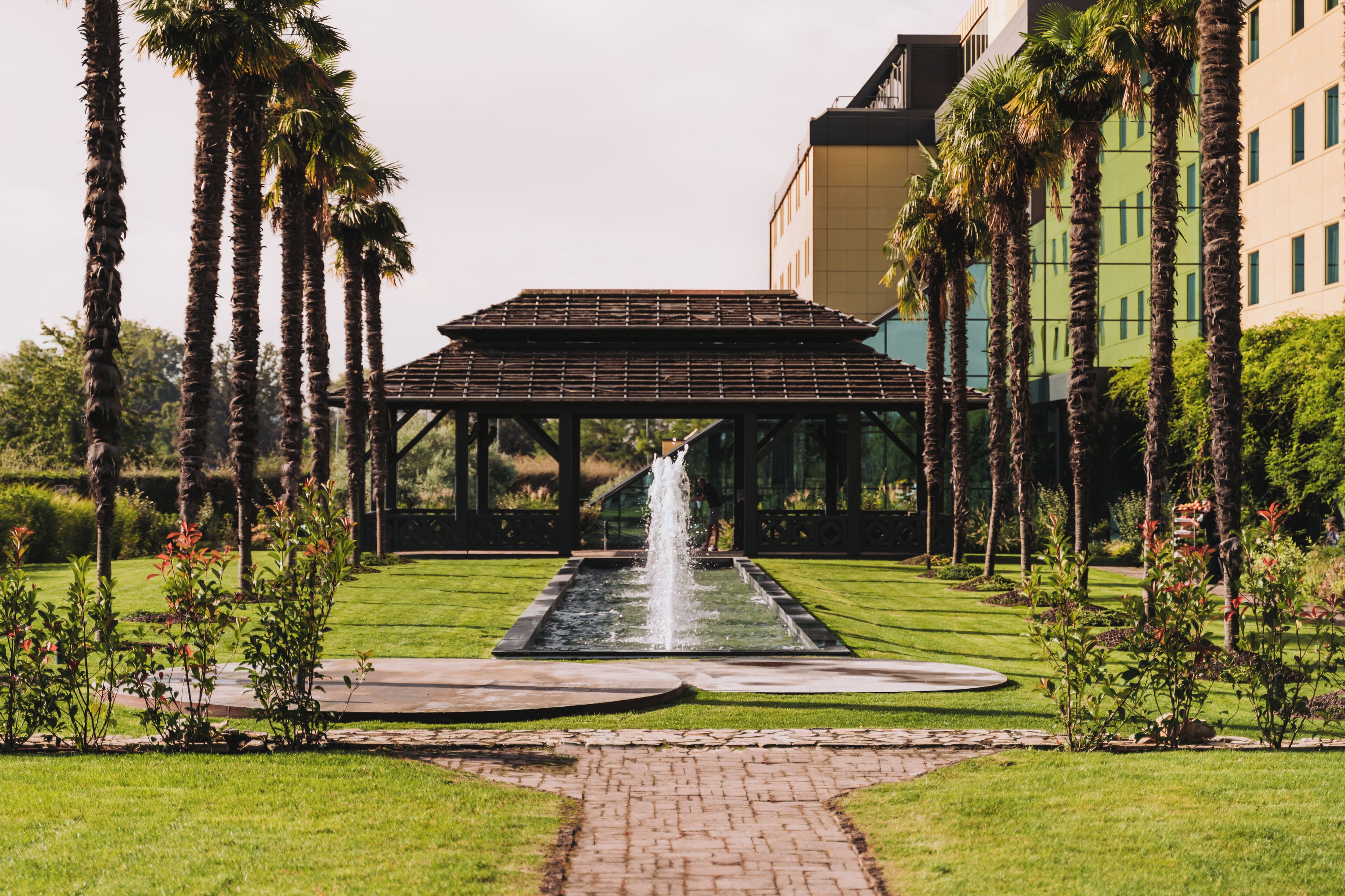 A courtyard with a fountain, palm trees, and a building with a modern design.
