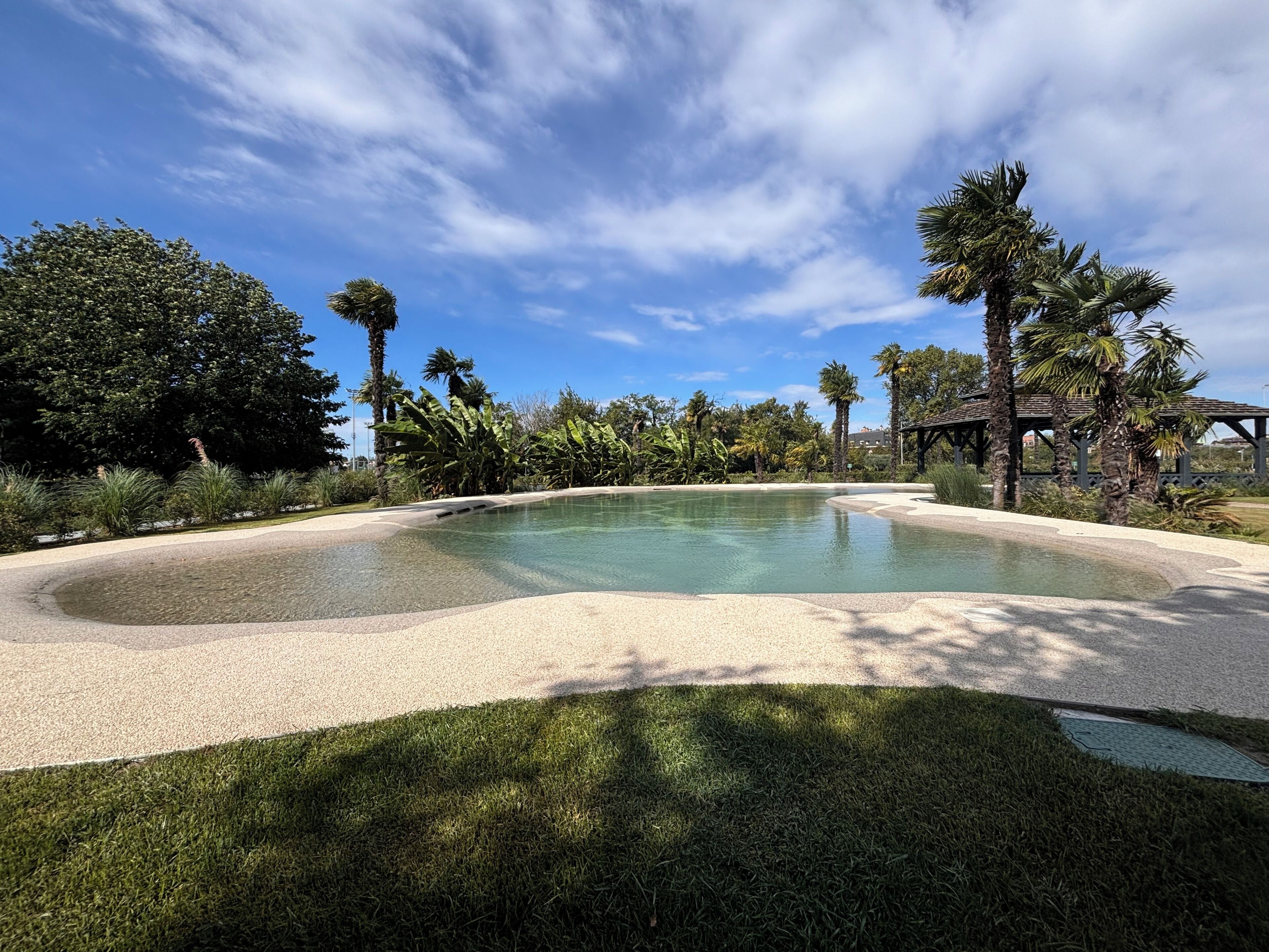 A clear pool with a sandy edge, surrounded by lush greenery and palm trees.