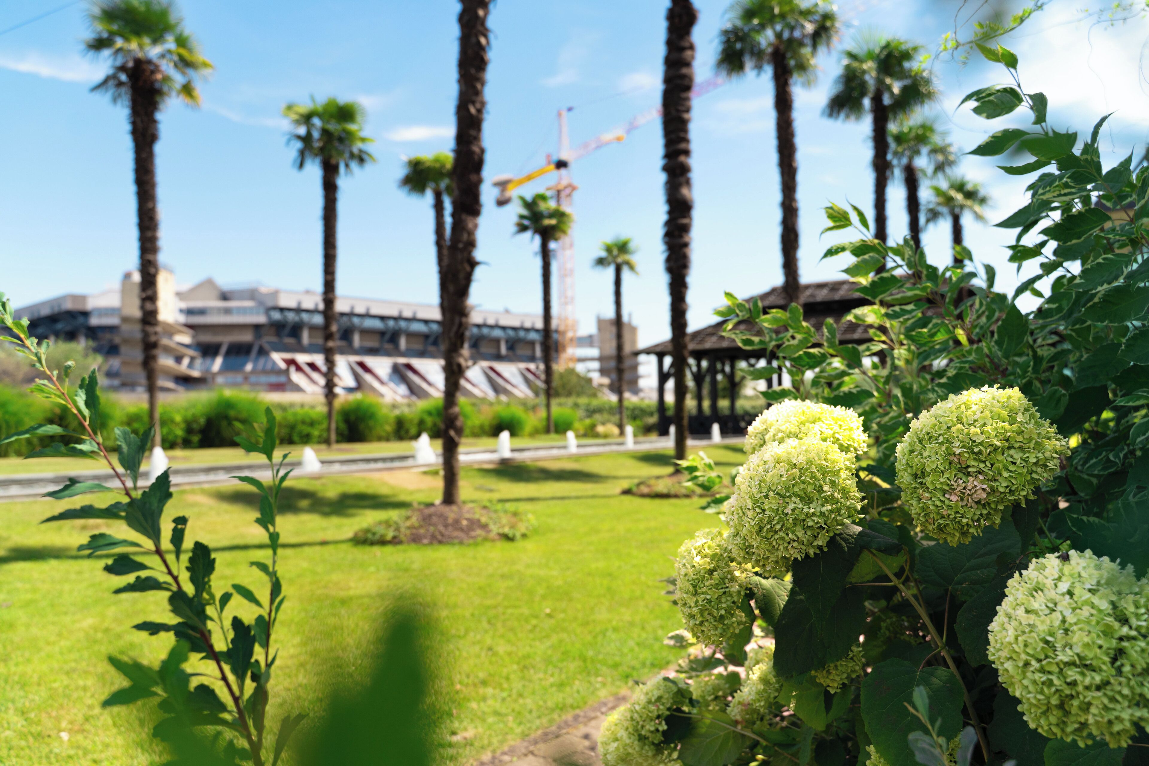 A landscaped garden with palm trees and a building with a modern design in the background.