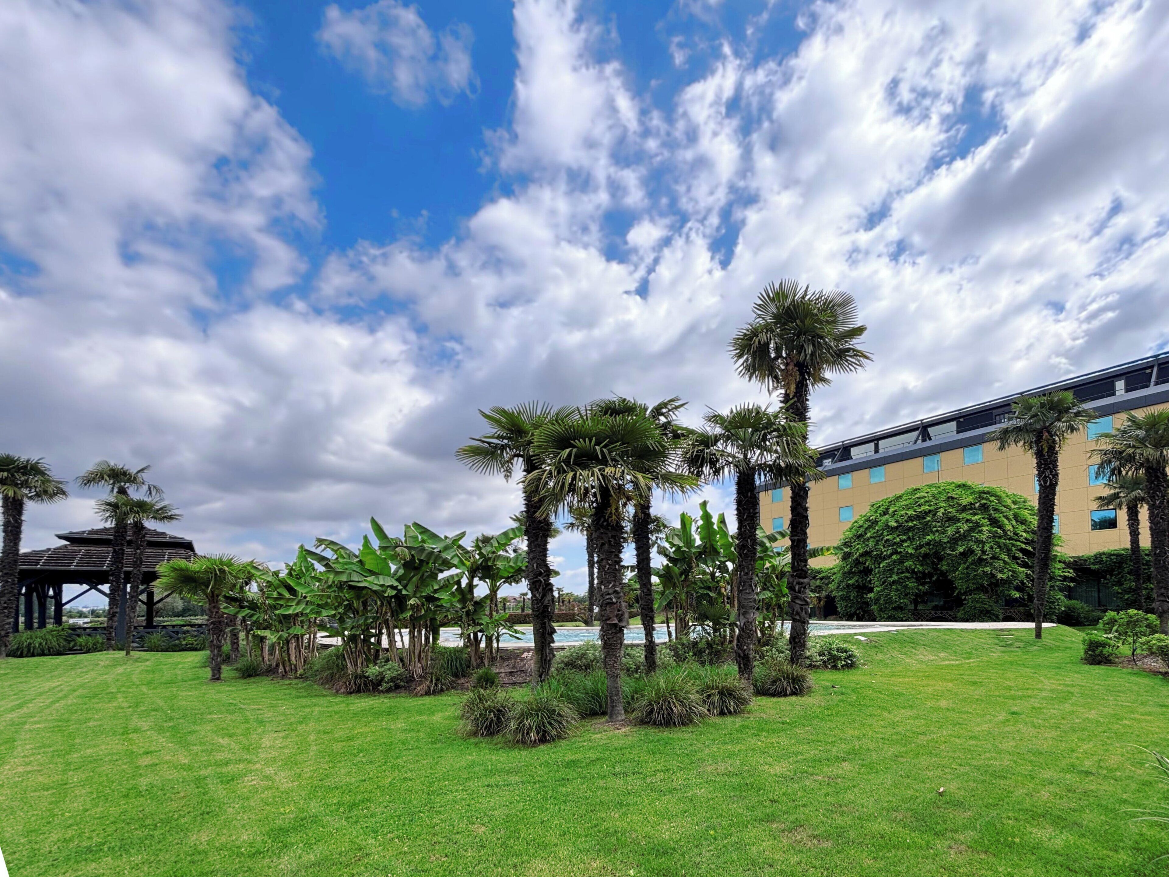 A courtyard with palm trees, a pool, and a building with multiple windows.