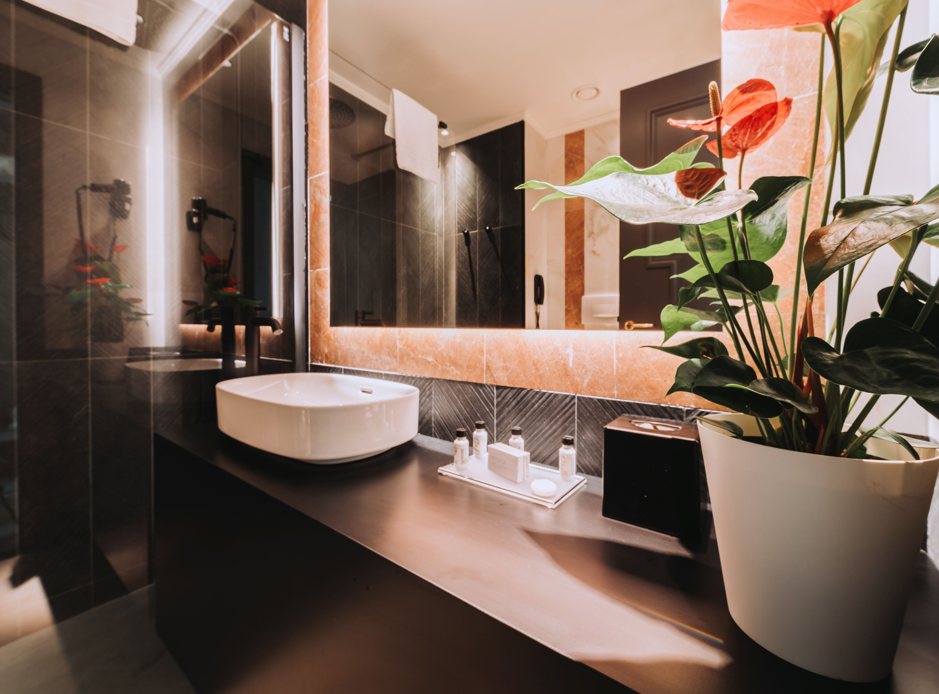 free toiletries, hair dryer, bidet, towels