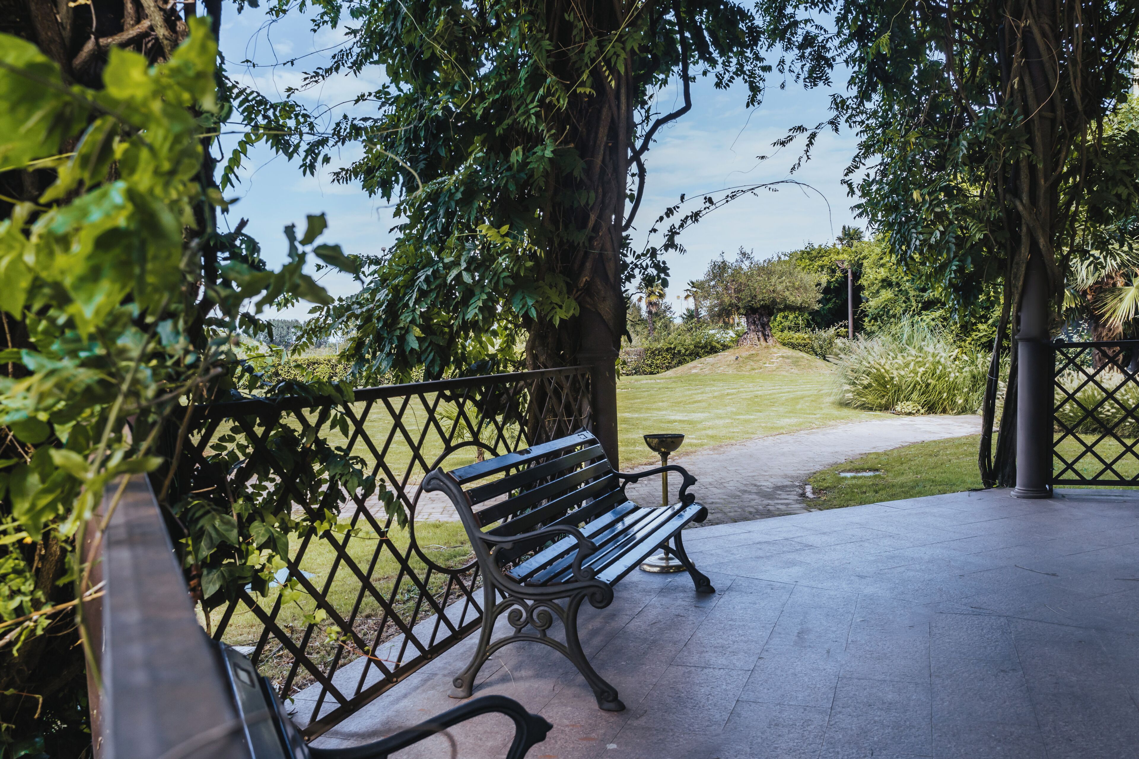 A bench in a park with a paved walkway and a fence.