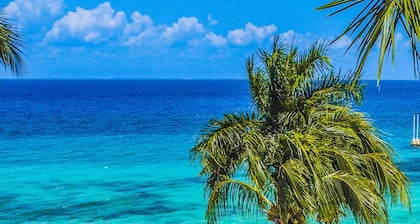 El Cozumeleño Beach Resort - All Inclusive