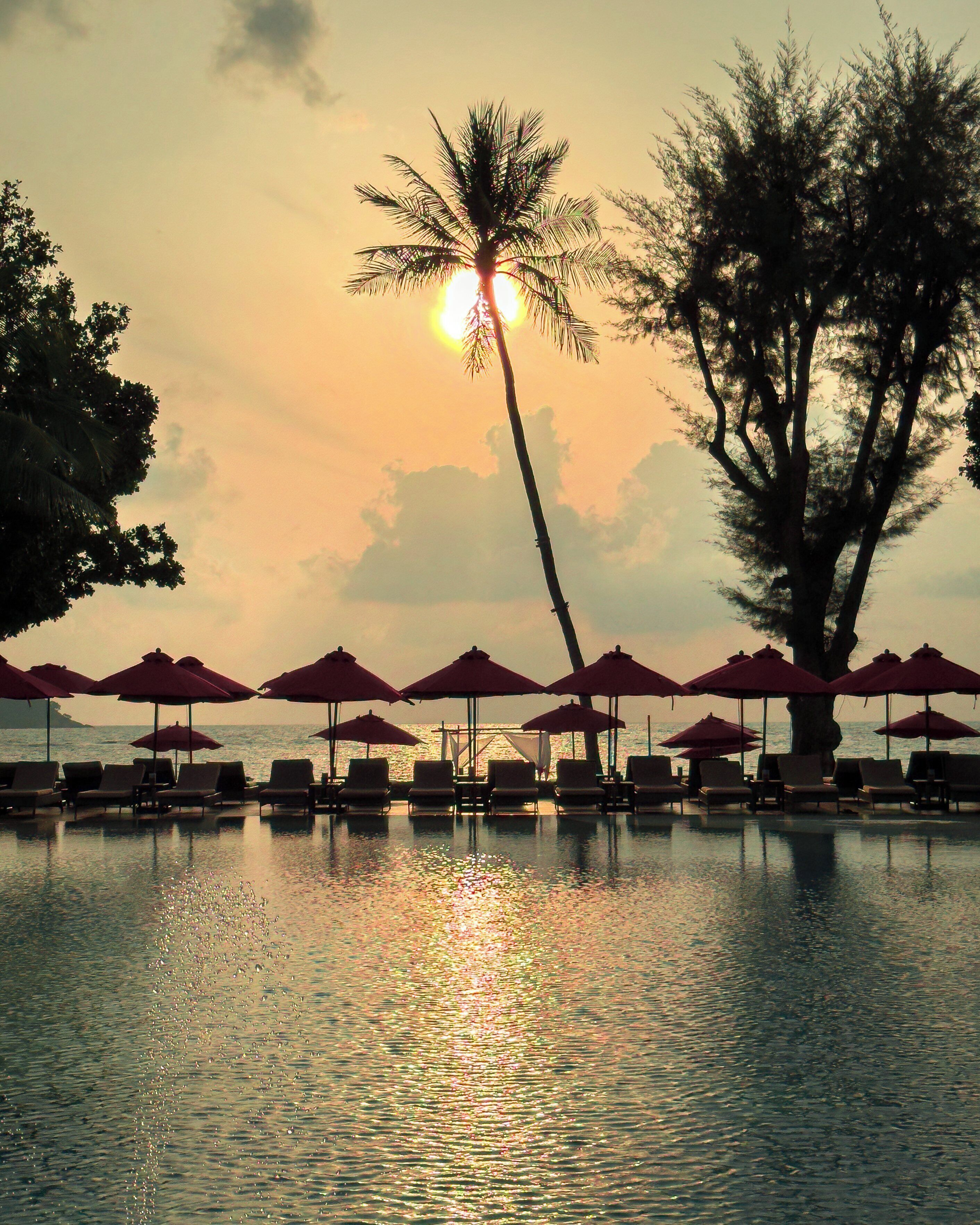 Un espace aménagé au bord de la piscine, avec des parasols, des chaises longues et un palmier, le tout sur fond de coucher de soleil.