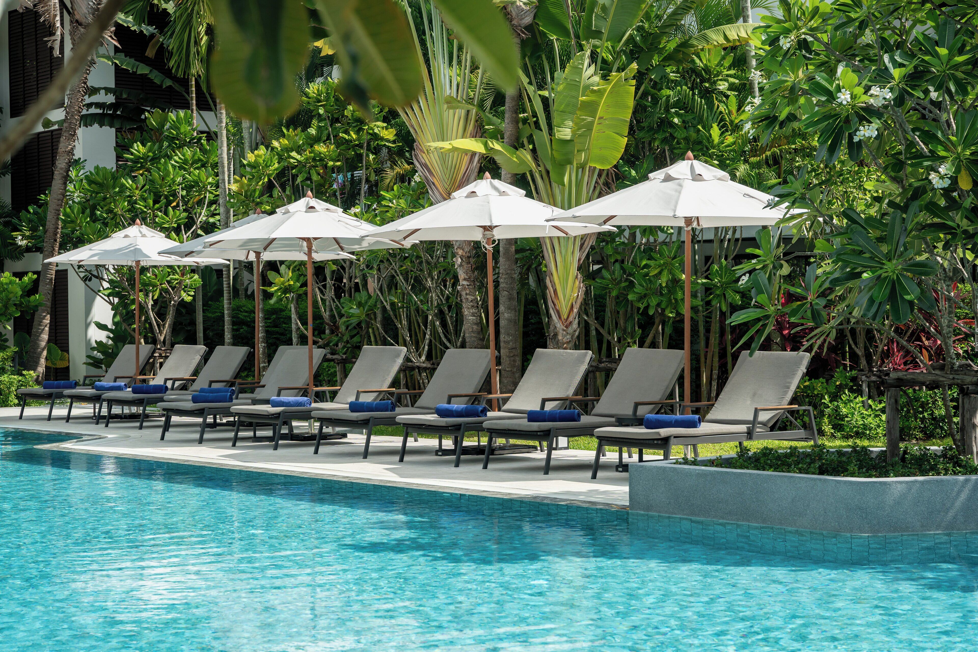 A poolside area with lounge chairs and umbrellas, surrounded by lush greenery.