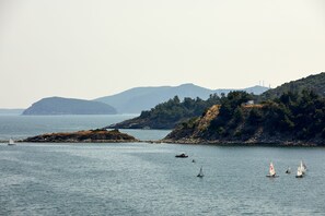 Vista del balcón