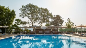 A swimming pool with lounge chairs and umbrellas, surrounded by trees.