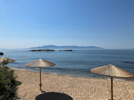 Sillas reclinables de playa, sombrillas, toallas de playa, pesca. Lucy Hotel