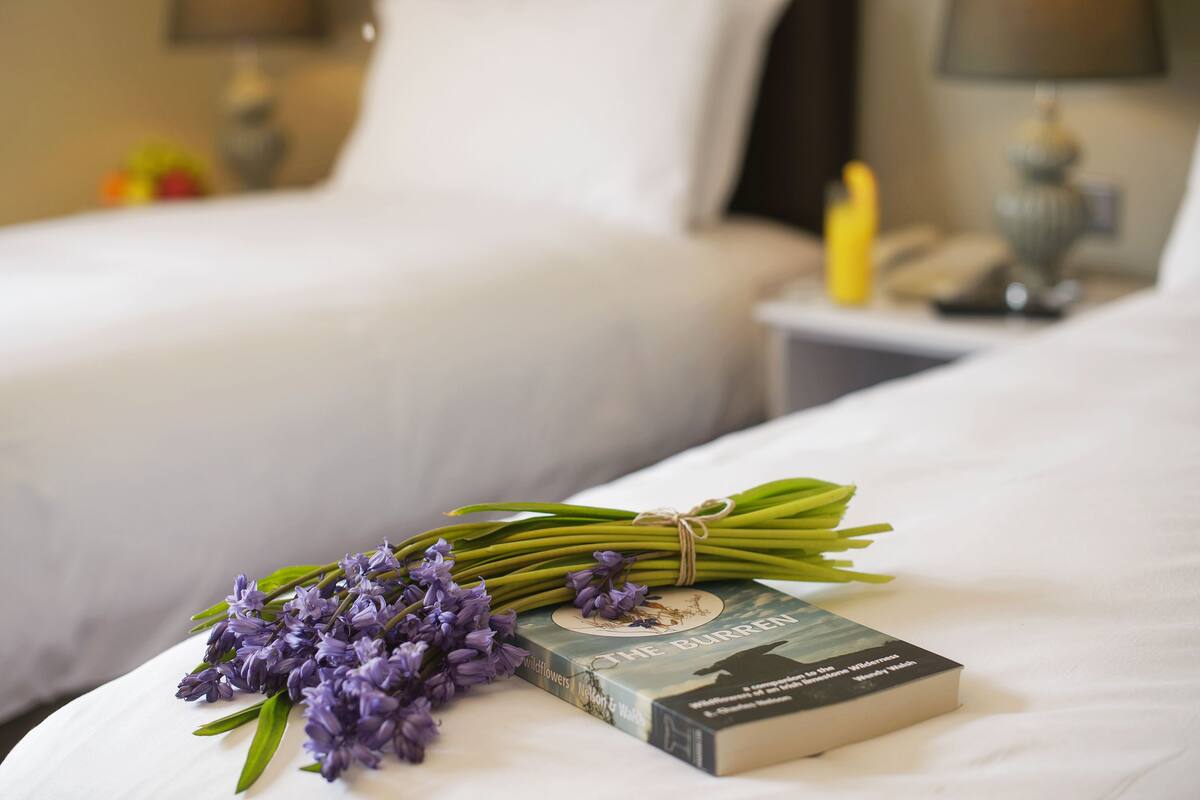 desk, blackout curtains, soundproofing, iron/ironing board