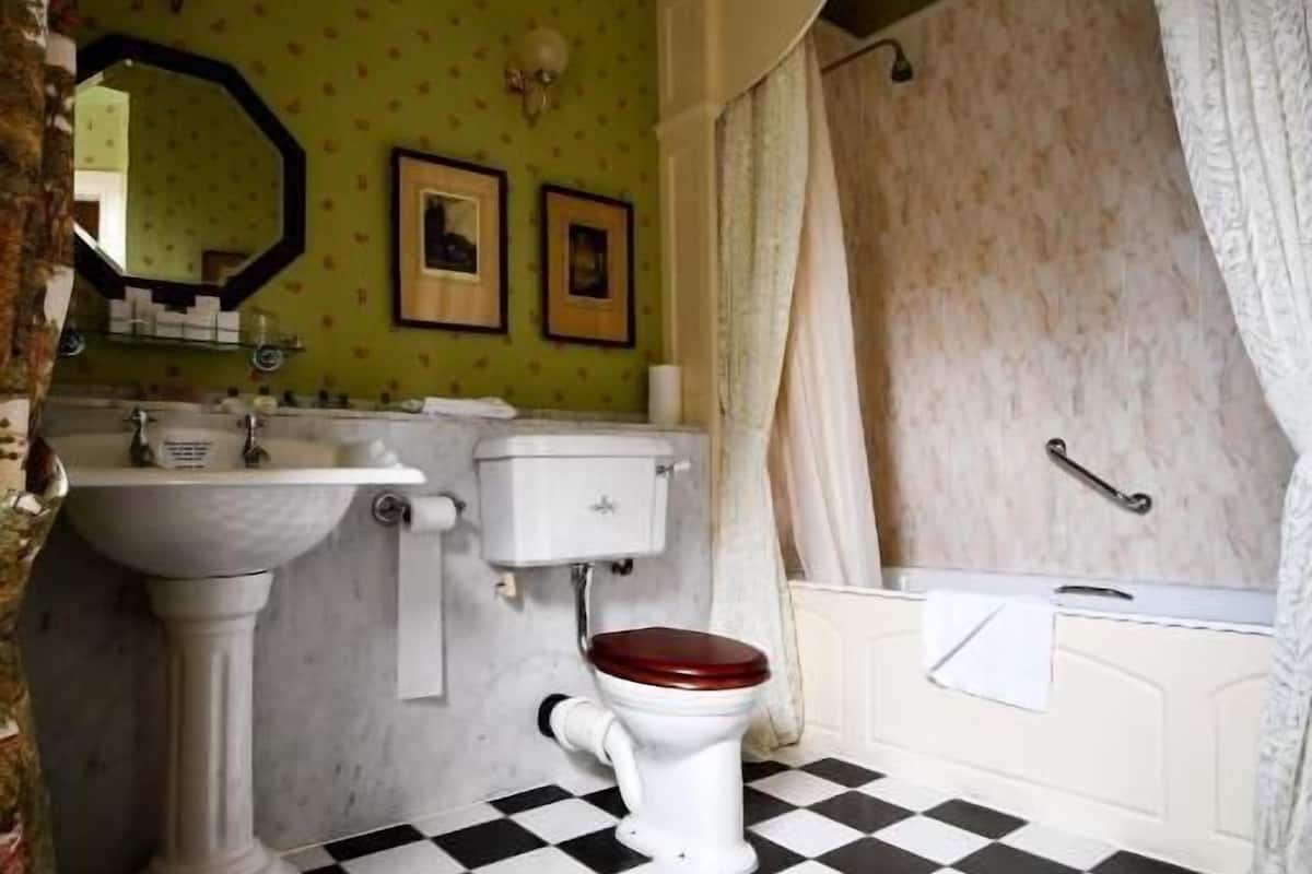 double room | bathroom | combined shower/bathtub, free toiletries, towels