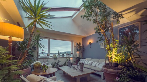 A cozy living room with a sofa, coffee table, and chairs, surrounded by potted plants and a view of the sea through large windows. - The Ardagh Hotel & Restaurant (Clifden)