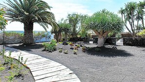 A landscaped garden with a variety of tropical plants and a wooden pathway.