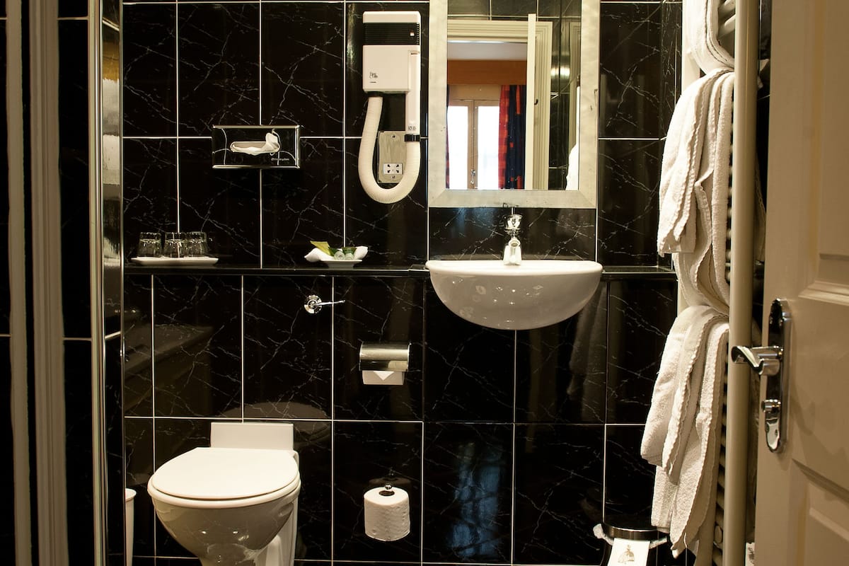 combined shower/bathtub, free toiletries, hair dryer, towels