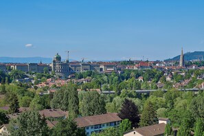 Vue depuis le balcon