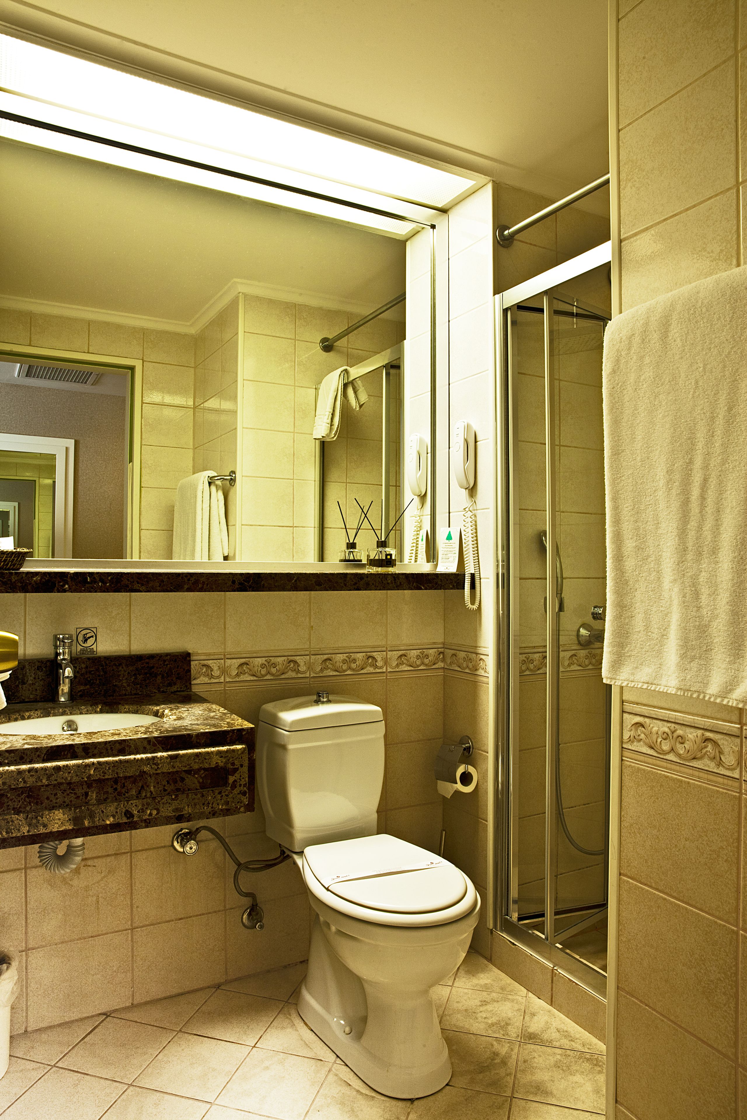 shower, free toiletries, hair dryer, slippers