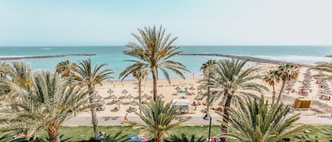 Vue sur la plage/l’océan