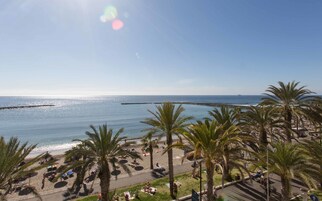 Una playa con palmeras, sombrillas y gente.