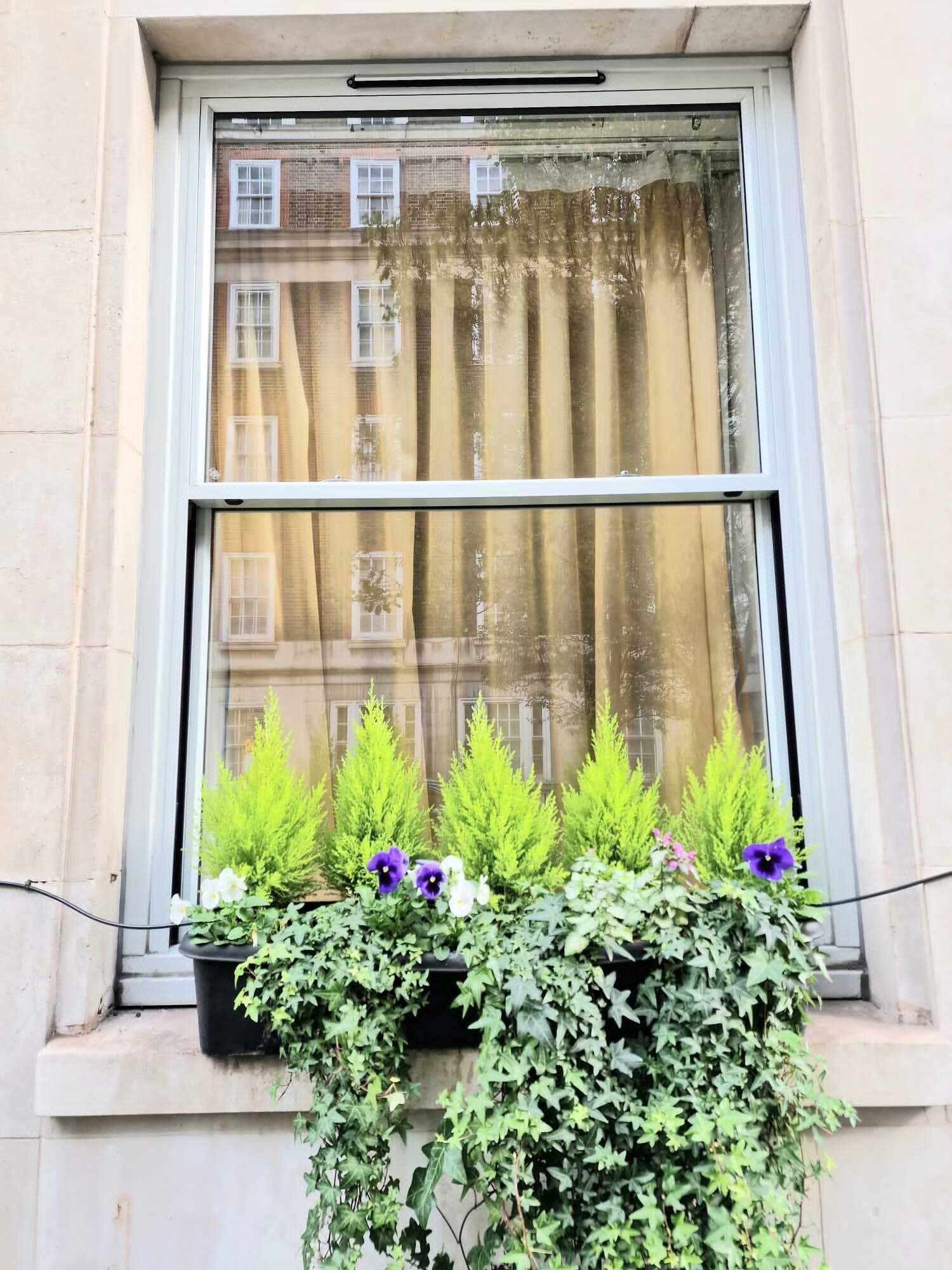 Foto - Astor Court Hotel