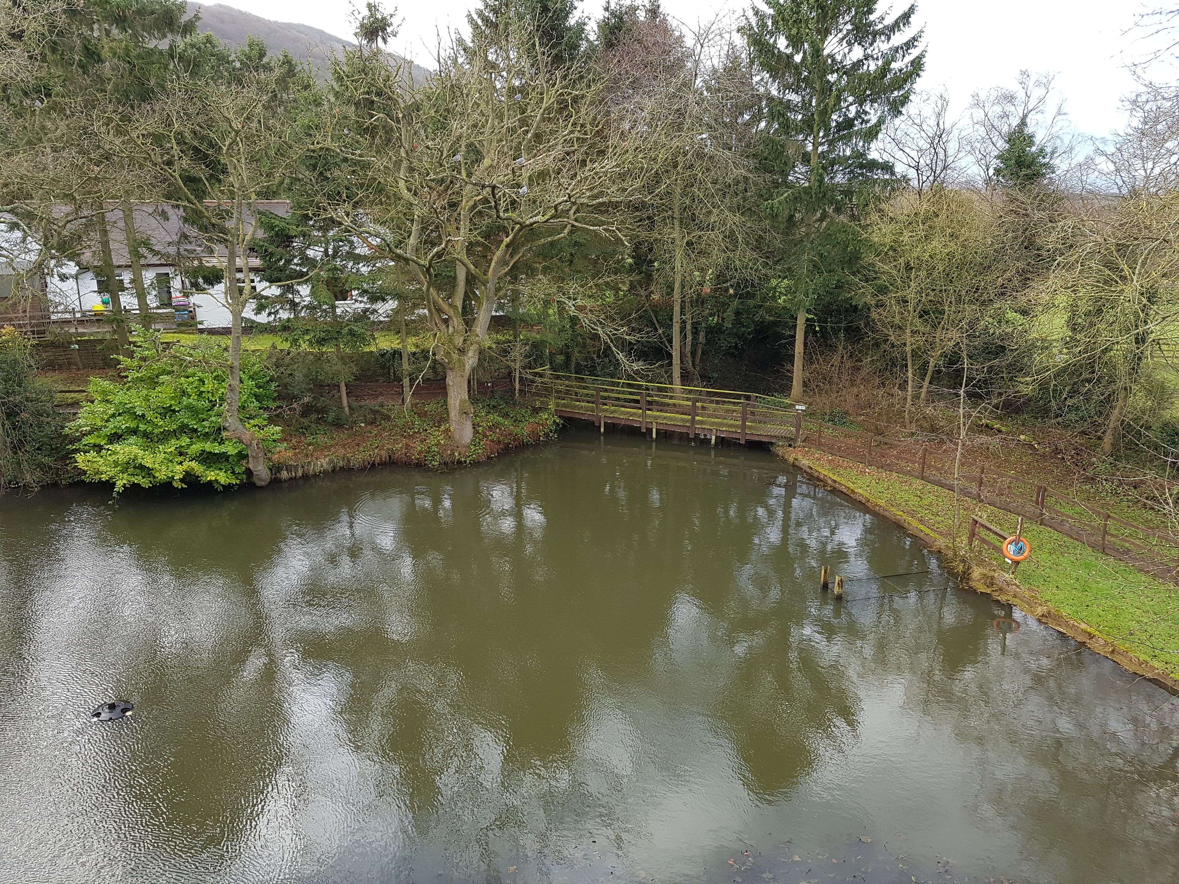 A tranquil pond with a wooden bridge, surrounded by trees and a grassy area.