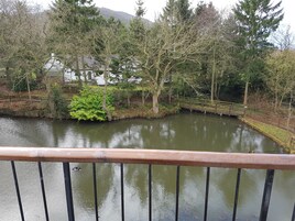 Superior Twin Room | View from room