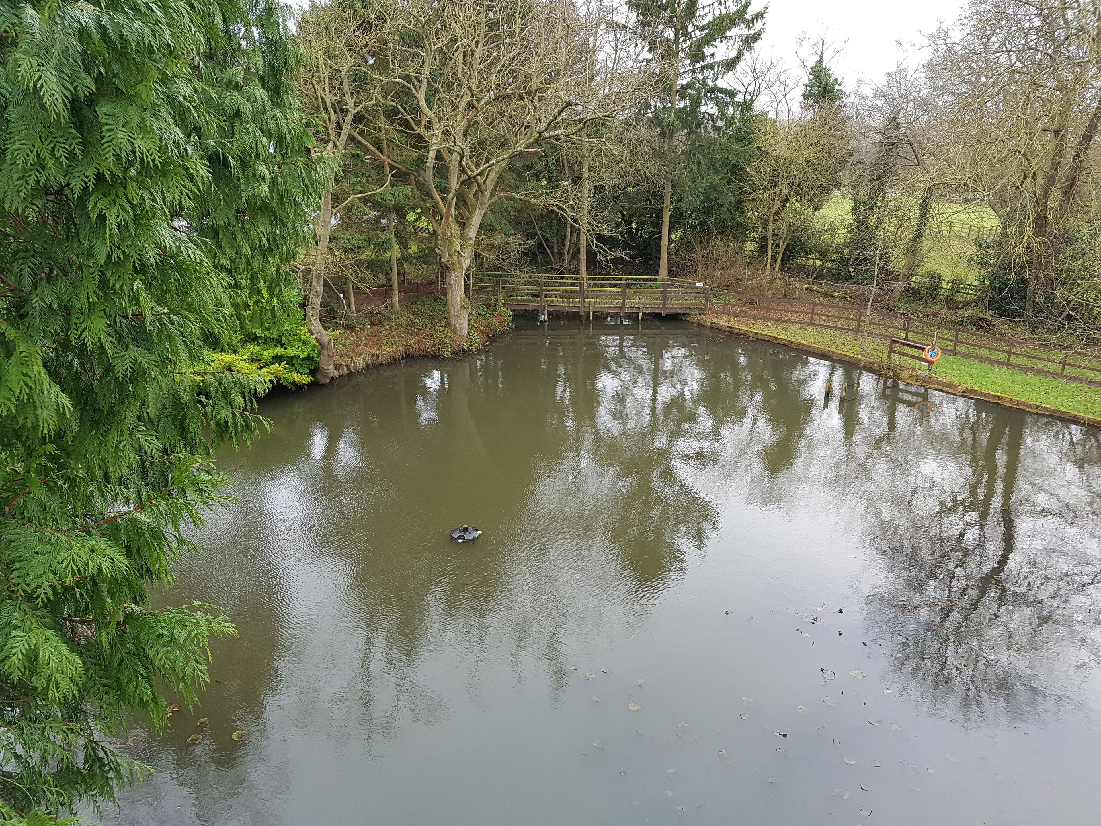 A pond with a wooden bridge, surrounded by trees and a grassy area.