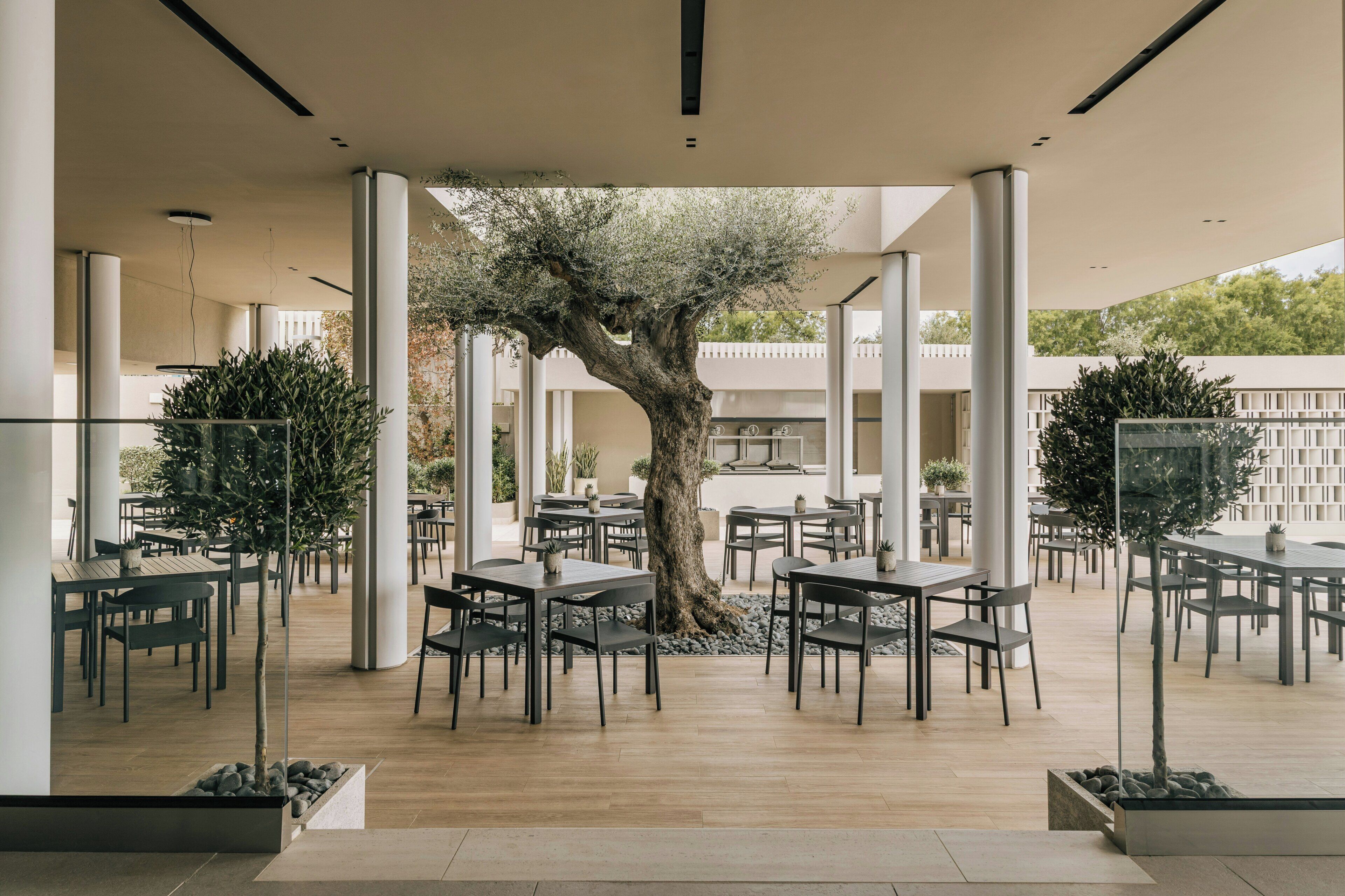 Un área de estar al aire libre con mesas y sillas, rodeada de árboles y columnas.