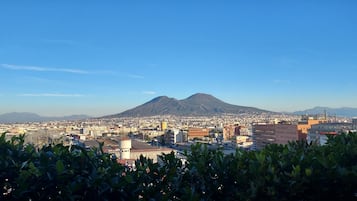 Ausblick vom Zimmer