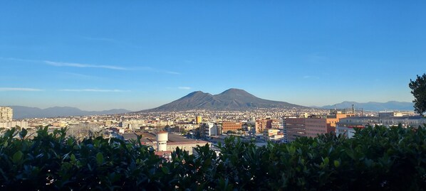 部屋からの景観