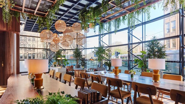 A spacious indoor area with a long wooden table, multiple chairs, hanging wicker lamps, and potted plants. - The Green (Dublin)