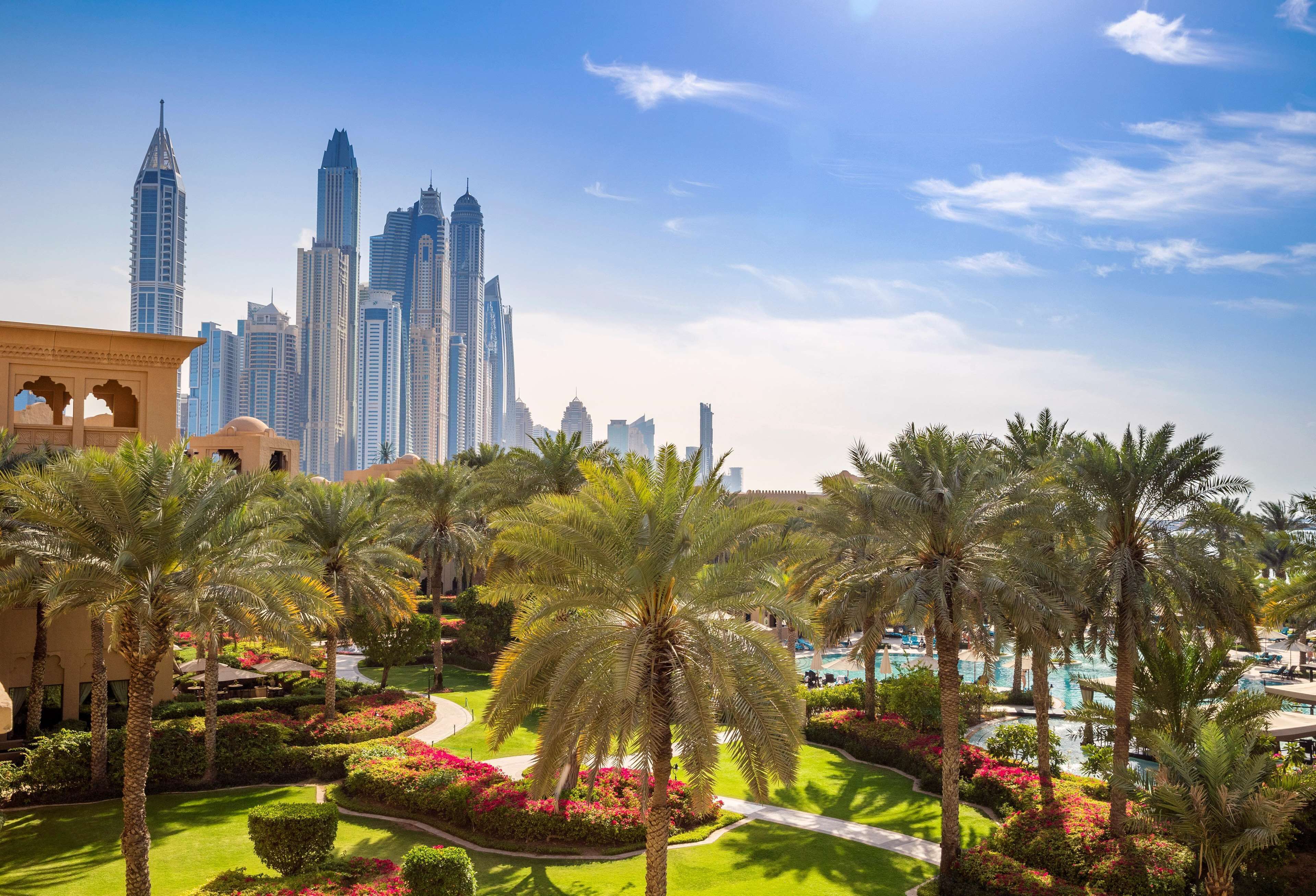 A hotel courtyard with palm trees, a swimming pool, and a city skyline in the background.